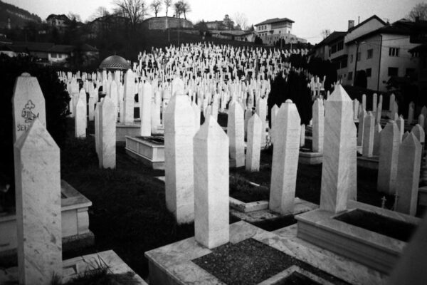 The Bosnian Disaster